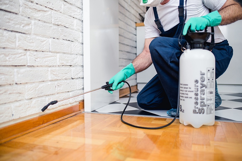 Significant Reasons For Leaving Pest Control To A Professional